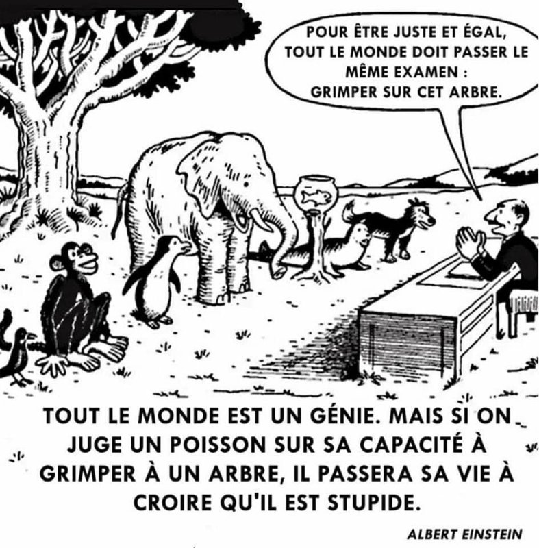 la-standardisation-est-un-piege.jpeg
