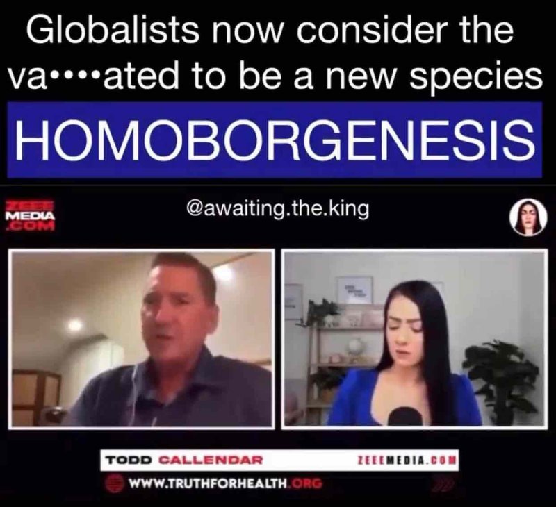 homoborgenesis.jpeg