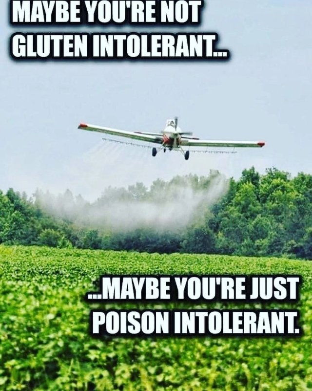peut-etre-etes-vous-intolerant-au-poison.jpeg