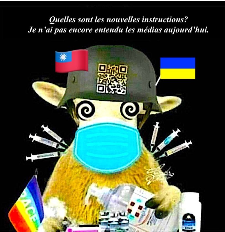 les-moutons-attendent-les-instruction.jpg