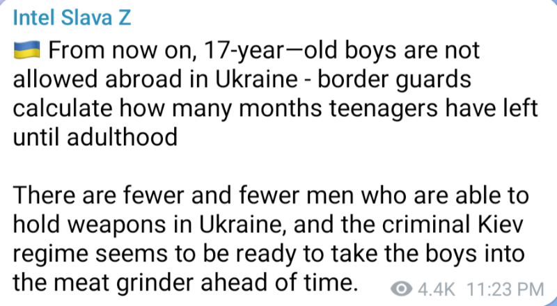 le-regime-nazi-de-zelensky-en-ukraine-compte-les-mois-avant-de-pouvoir-envoyer-les-garcons-de-17-ans-se-faire-dechiqueter-a-la-guerre.png