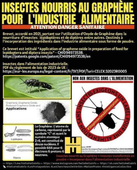 graphene-pour-les-insectes.jpg