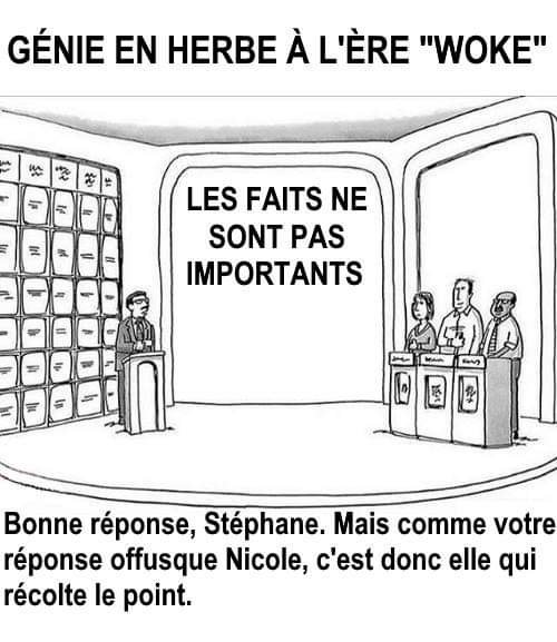 genie-en-herbe-a-l-ere-woke.jpg