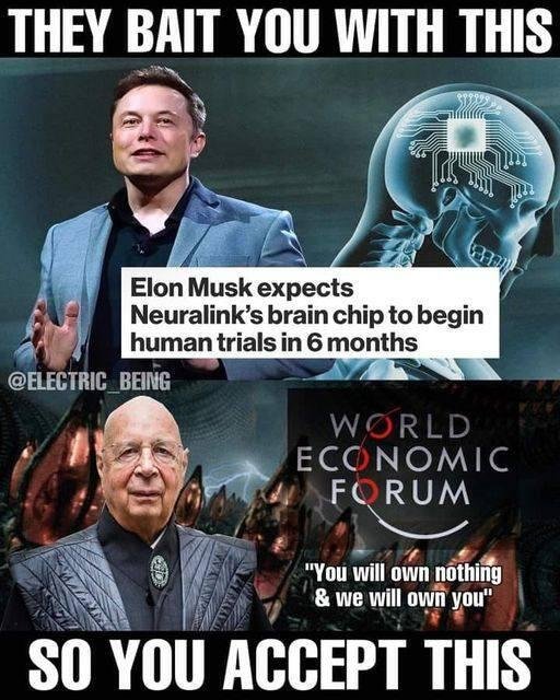 elon-musk-17.jpg