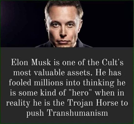 elon-musk-20.png