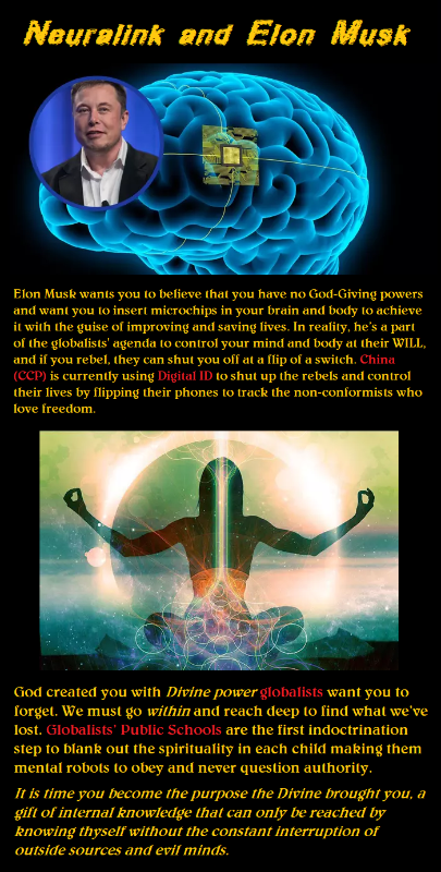 elon-musk-29.png