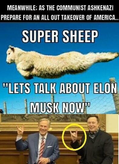 elon-musk-31.jpg