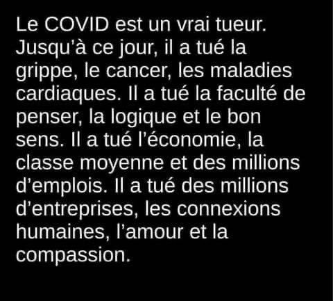 le-covid-a-tue-la-grippe.jpg