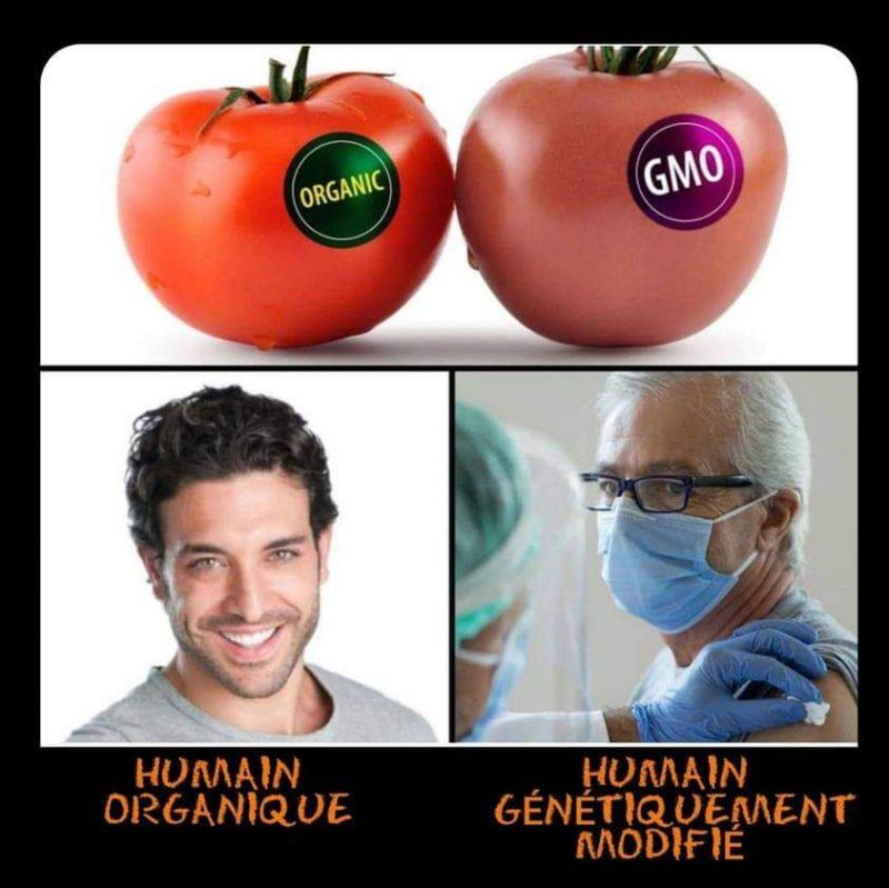 les-humains-genetiquement-modifies.jpg