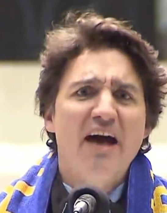 justin-trudeau-qui-s-en-prend-a-un-canadien.jpg