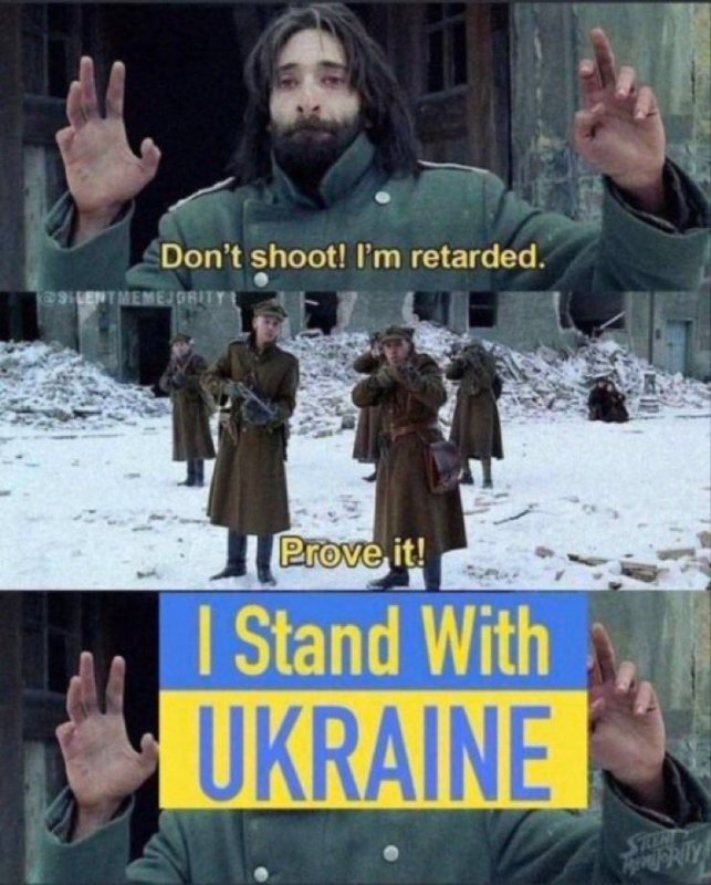 ceux-qui-supportent-l-ukraine.jpg