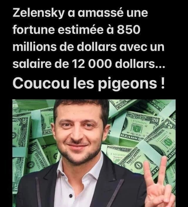 zelensky-plume-les-pigeons.jpg