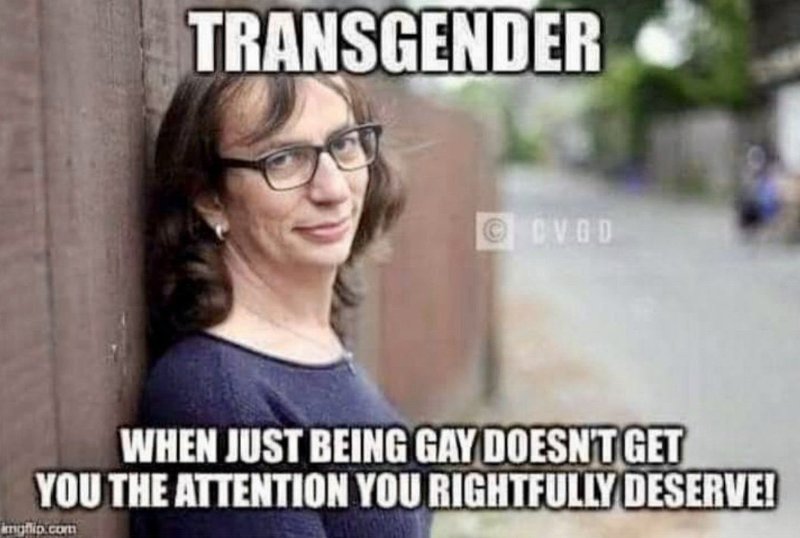 les-transgenres-qui-veulent-de-l-attention.jpg