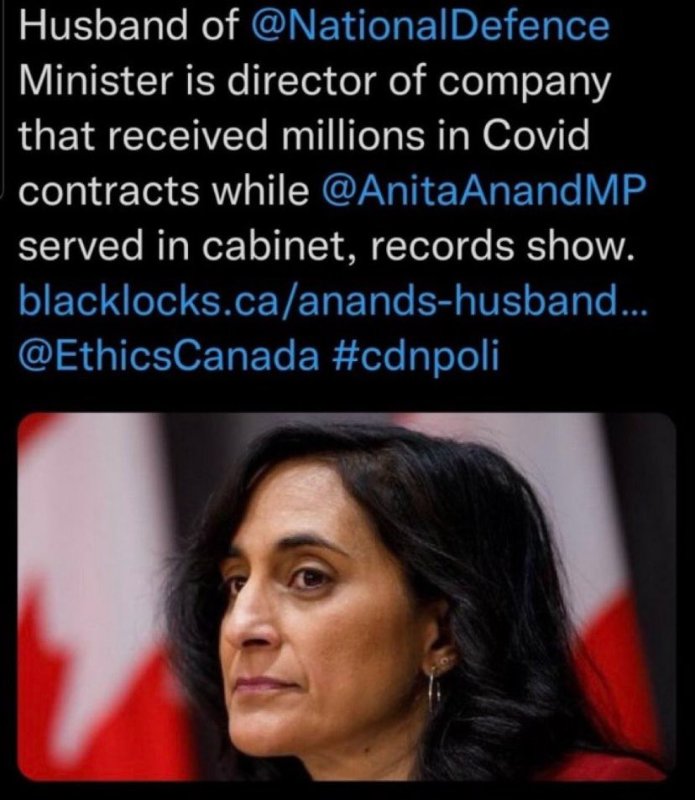 le-mari-d-anita-anand.jpg