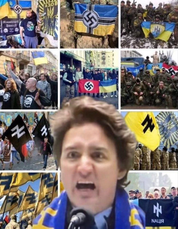 trudeau-et-son-financement-des-neo-nazis-ukrainiens.jpeg