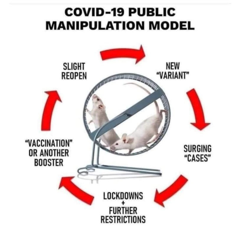 modele-de-manipulation-covid.jpg