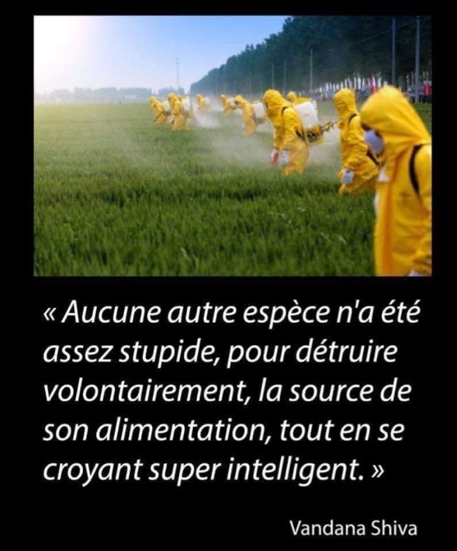 detruire-son-alimentation-volontairement.jpg