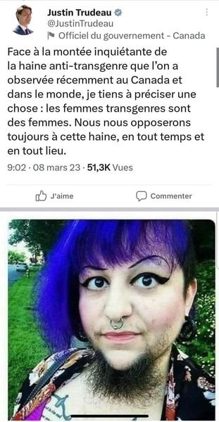 la-maladie-mentale-woke-de-trudeau.jpg