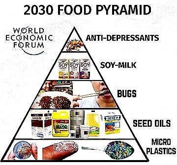 la-pyramide-alimentaire-en-2030.jpeg