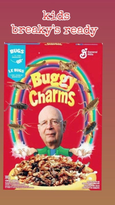 manger-des-buggy-charms-de-klaus-schwab.jpeg