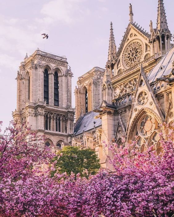 notre-dame-a-paris.jpg