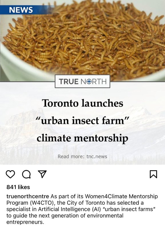 un-mentorship-climatique-sur-les-insectes.jpg