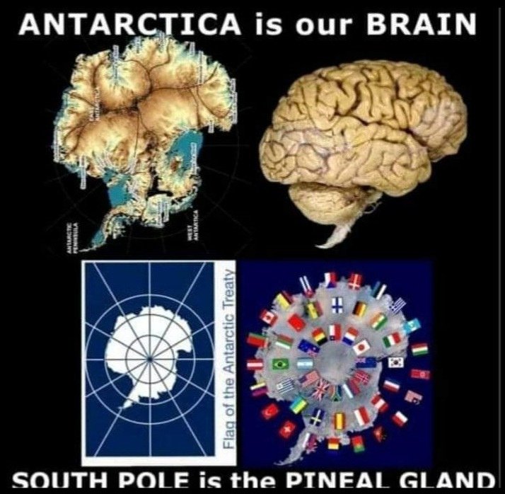 le-poe-sud-est-notre-glande-pineale-psyop.jpg