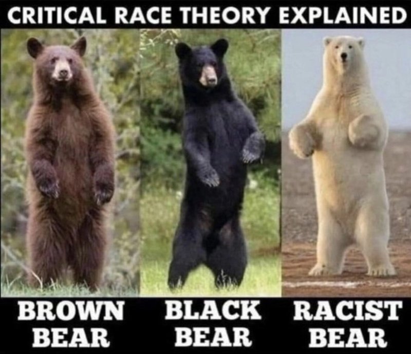 crt-critical-race-theory.jpeg