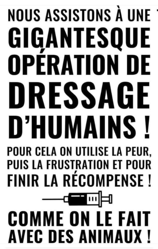 operation-de-dressage-d-humains.jpg