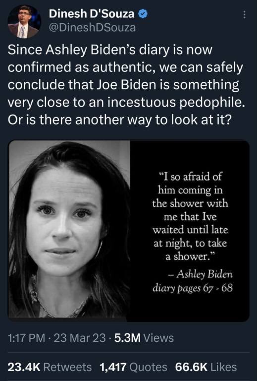 grace-a-ashley-biden-on-sait-que-joe-biden-ressemble-a-un-pedophile.jpg