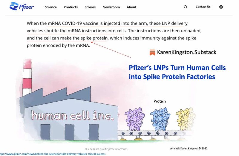 pfizer-qui-transforme-les-humains.jpeg