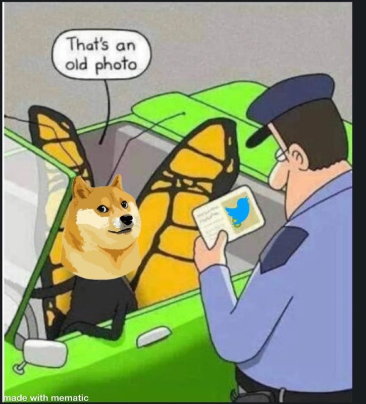 dogecoin-au-lieu-de-l-oiseau-bleu.jpg