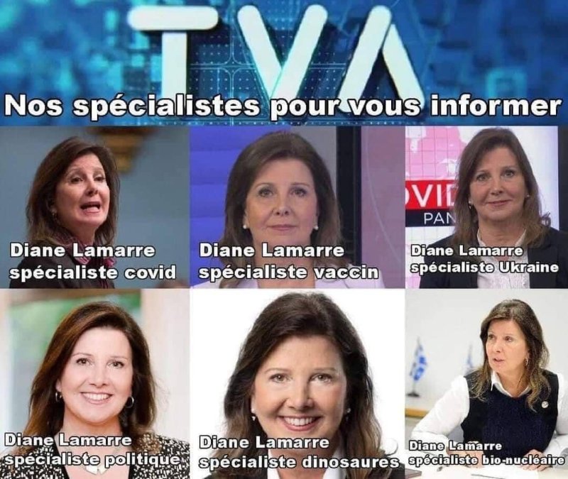 diane-lamarre-est-specialiste-en-quoi-exactement.jpg