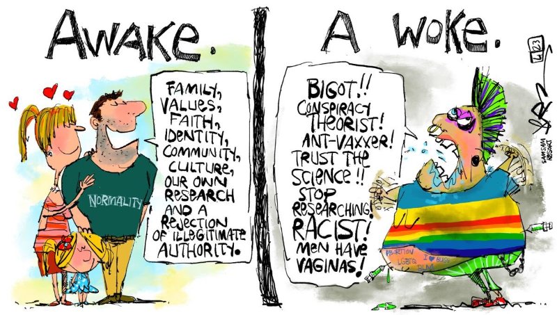 reveille-versus-un-woke.jpg