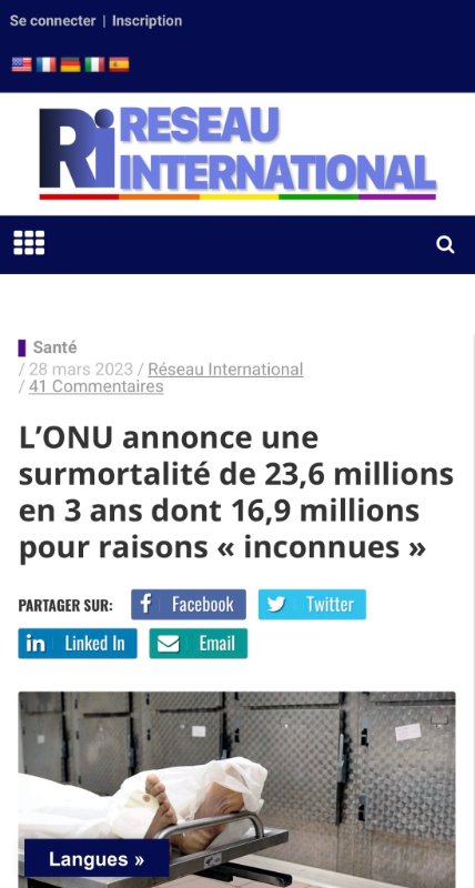 l-onu-annonce-une-surmortalite.jpg