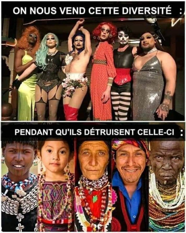 la-diversite-woke.jpg