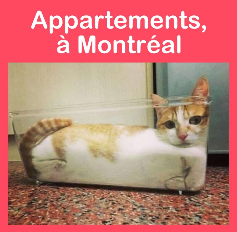 appartements-a-montreal.jpg